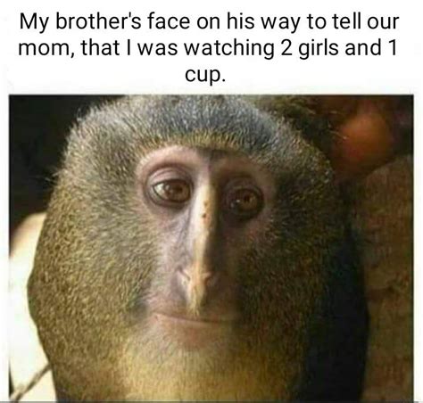 What's that supposed to mean? I'm gonna look it up. : r/HolUp