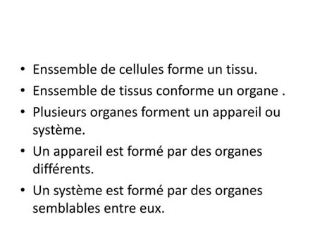 Le Corps Humain Et Les Fonctions Vitales Jaime Y Basilio Ppt