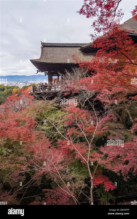 Autumn View of Kiyomizu-dera Temple Stock Photo - Alamy