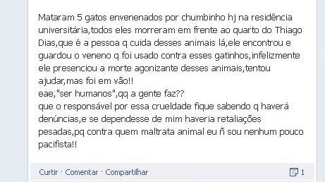 Gatos morrem envenenados na residência universitária da Uefs Acorda