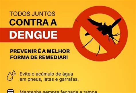 Notícia PrevenÇÃo A Melhor Forma De Se Combater A Dengue