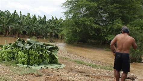 Tumbes Director de Agricultura pide más atención al Minagri EDICION