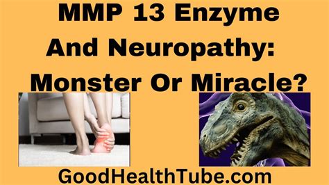 MMP 13 Enzyme And Neuropathy Monster Or Miracle Good Health Tube