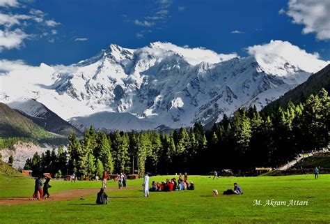 Trip To Nanga Parbat Base Camp Fairy Meadows