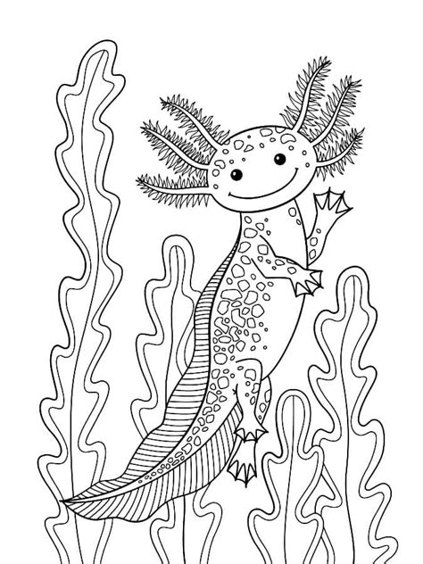 Coloriage Un Axolotl Souriant T L Charger Et Imprimer Gratuit Sur