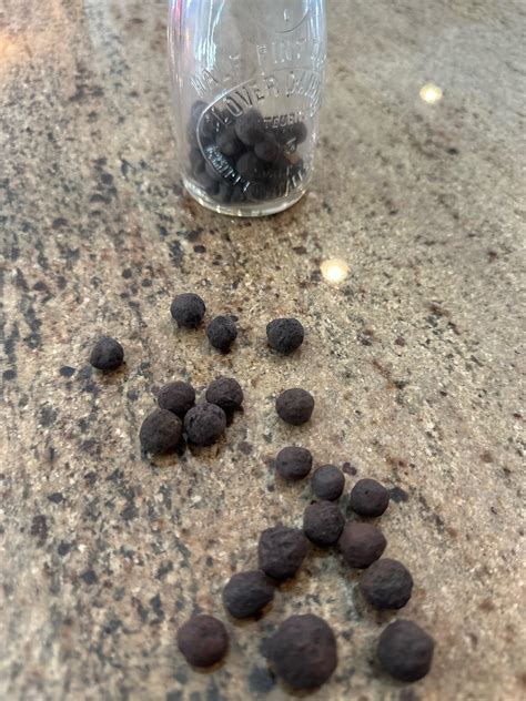 Iron taconite pellets. : r/thisisthatthing