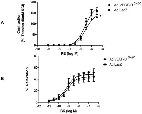 Vascular Reactivity Of Uterine Arteries 30 45 Days After Vector