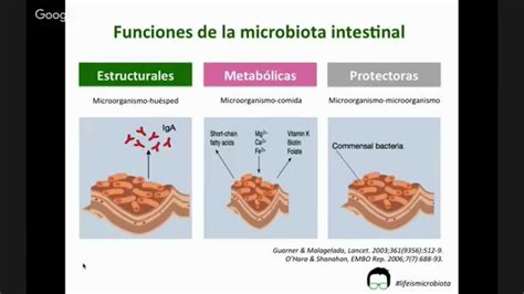 Hablando de la microbiota intestinal y los probióticos con Andreu