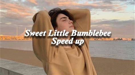 Bambee Sweet Little Bumblebee Speed Up Youtube