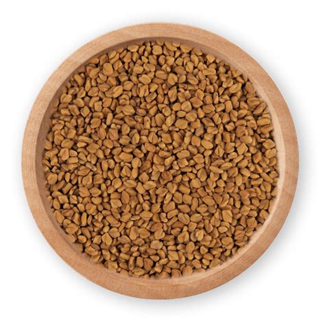 Fenugreek Seeds Bold Foodsy Exports