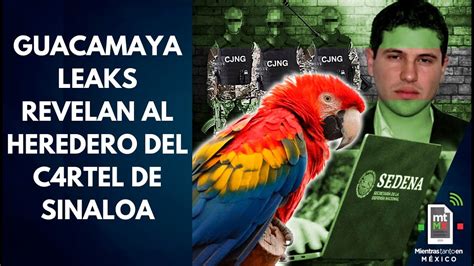 Guacamaya Leaks Los Secretos Del C Rtel De Sinaloa Y C Rtel Jalisco