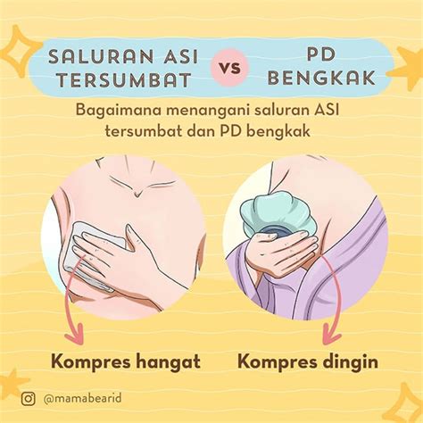 Perbedaan Bendungan Asi Mastitis Dan Abses Payudara Kumparancom Images