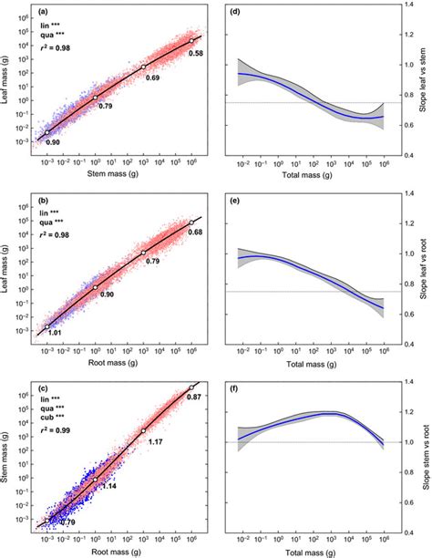 The Allometric Relationship For A Leaf Vs Stem Mass B Leaf Vs Root