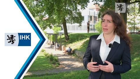 Bundestagswahl Mariana Harder Kühnel AfD Wahlprogramm Check für