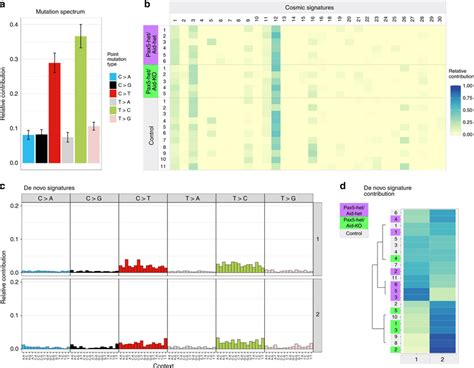 Mutational Patterns In Pax5 Hetaid Het And Pax5 Hetaid Ko B All A