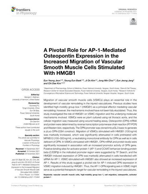 Pdf A Pivotal Role For Ap Mediated Osteopontin Expression In The