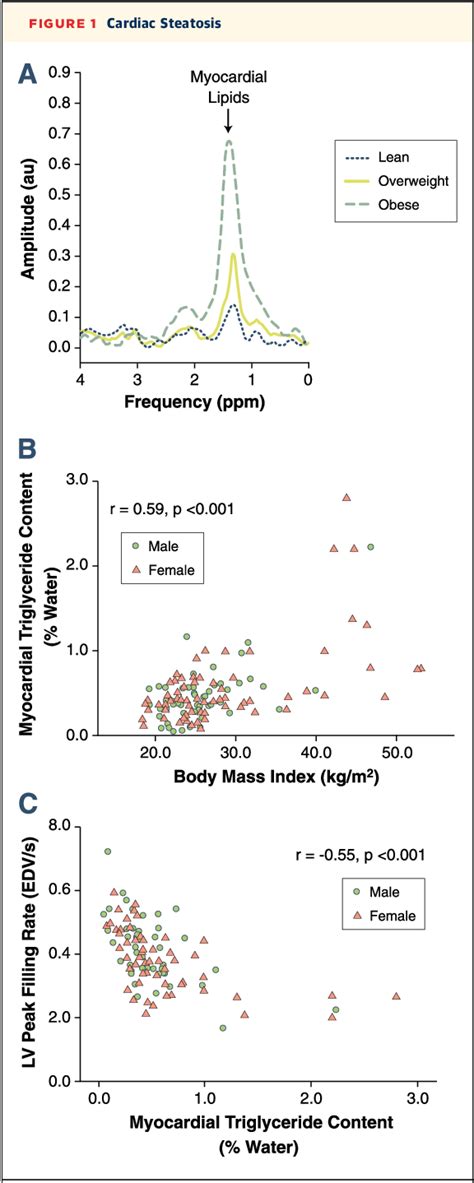 Figure 1 From Evidence Of A Direct Effect Of Myocardial Steatosis On Lv