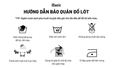 Combo 5 Quần lót nữ thun lạnh Smoothies bikini PANW130 iBasic