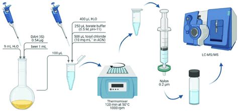 Schematic Representation Of The Sample Preparation Stages For The