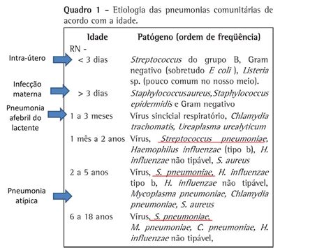 Pneumonia Adquirida Na Comunidade PAC Ppt Carregar