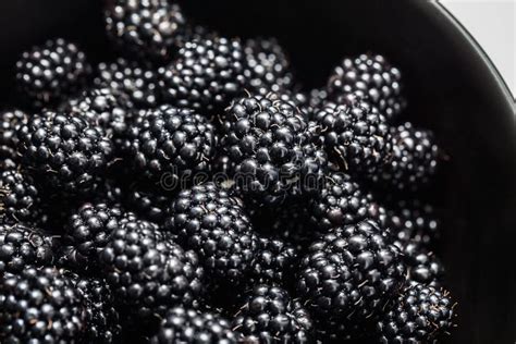 Blackberries In A Black Bowl Ripe Fresh Berries Macro Photo Stock