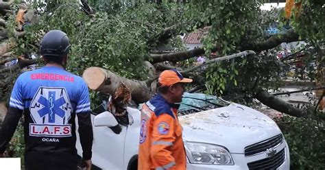 Impresionantes Imágenes De Los Estragos Del Invierno En Ocaña árboles