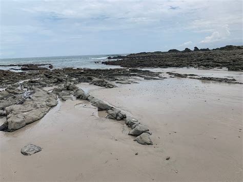 Barrigona Beach Playa Samara 2019 Qué Saber Antes De Ir Lo Más