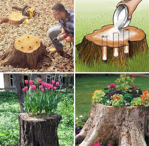 Tree Stump Ideas For Your Garden In 2023