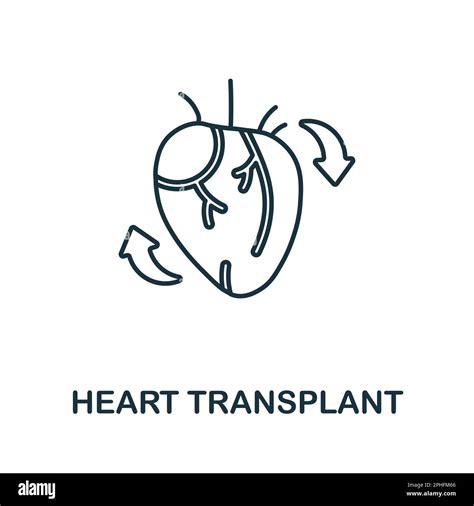 Liver Transplant Operation Stock Vector Images Alamy