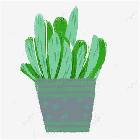 Plant Pots Png Transparent Potted Plants Green Plants Plant Pot