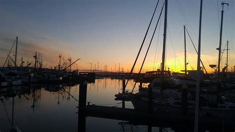 Sunset at the marina : r/pics