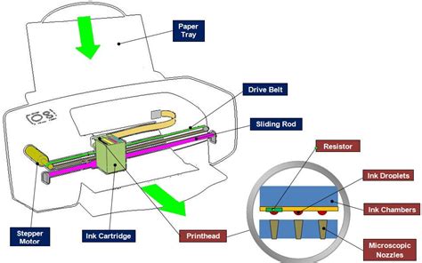 Imprimantes à étiquettes jet dencre ou thermique STAO