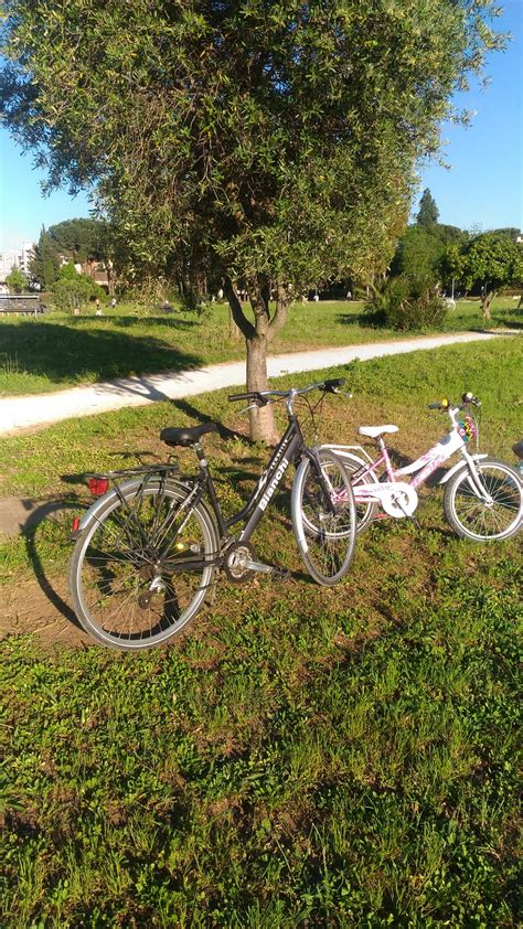 Street Art Al Quadrar Vecchio E Bici Al Parco Degli Acquedotti