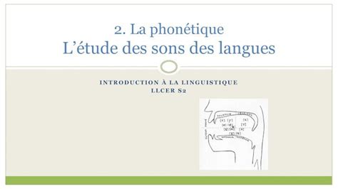 PDF 2 Phonétique et phonologie Létude des sons des 2019 02 02