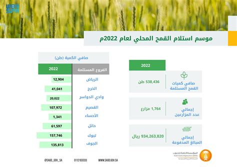 اقتصادي المؤسسة العامة للحبوب تعلن انتهاء موسم شراء القمح المحلي