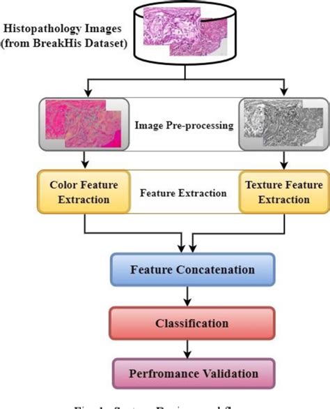 Figure From Color And Texture Feature Fusion For Breast Cancer