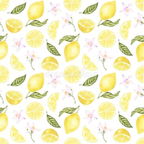 Watercolor Lemon Seamless Pattern Hand Drawn On White Background Stock