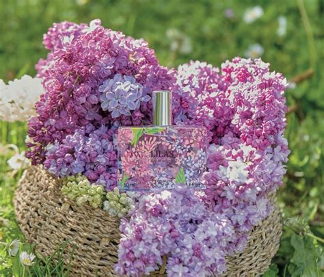 Fragonard une année sous le signe du lilas Parfumista