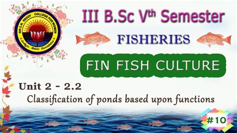 Iii Bsc Th Sem Fisheries Fin Fish Culture Unit Classification