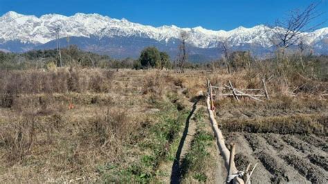 East Facing Plots In Bundla Palampur East Facing Land Plots For