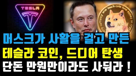 테슬라 코인 머스크가 사활을 걸고 결국 출시했다 단도 만원만 사도 부자됩니다 Youtube