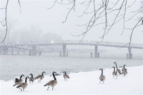 Map shows traffic snarls, crashes across Michigan during winter storm ...