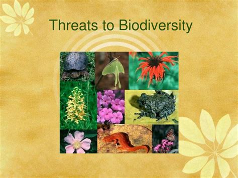 Ppt Threats To Biodiversity Powerpoint Presentation Free Download