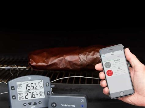 Meater Wireless Meat Thermometer Review: A Recipe for Mediocrity | WIRED