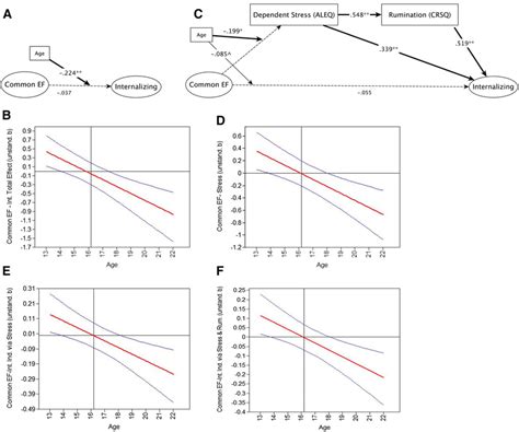 Total Effects And Mediation Path Models Predicting Internalizing