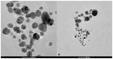 Frontiers Green Synthesized Silver Nanoparticles Antibacterial And