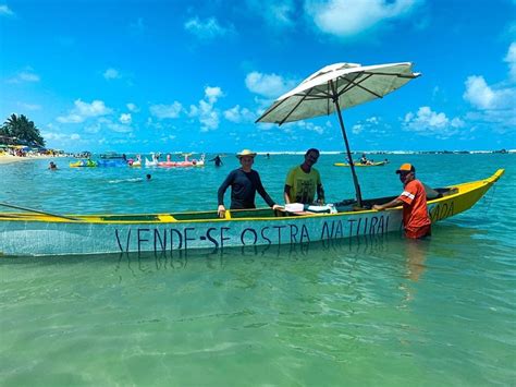 Barra de São Miguel tudo o que você precisa saber sobre paraíso