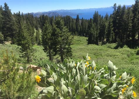 Autumn Hiking And History In The Sierra Nevada Tahoe National Forest