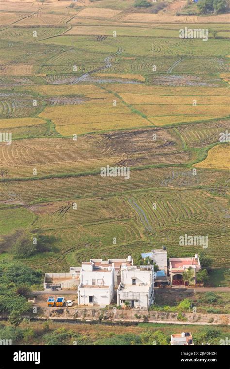 Morning view of farm Houses and fields from Thiruparankundram Rock Hill ...