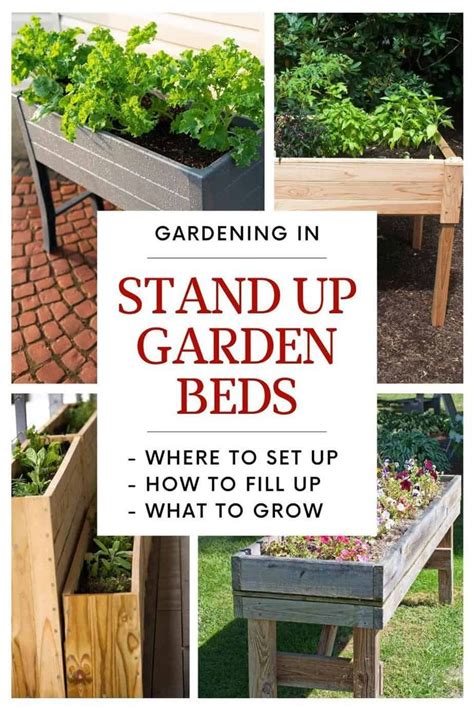 Must Read Guide To Elevated Garden Beds And Waist High Stand Up Planters Raised Garden Beds Diy